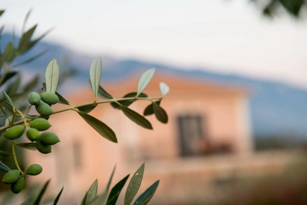 Korallis Villas Livathos  Zewnętrze zdjęcie